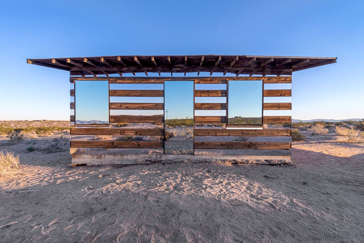 Lucid Stead by Phillip K Smith III 3